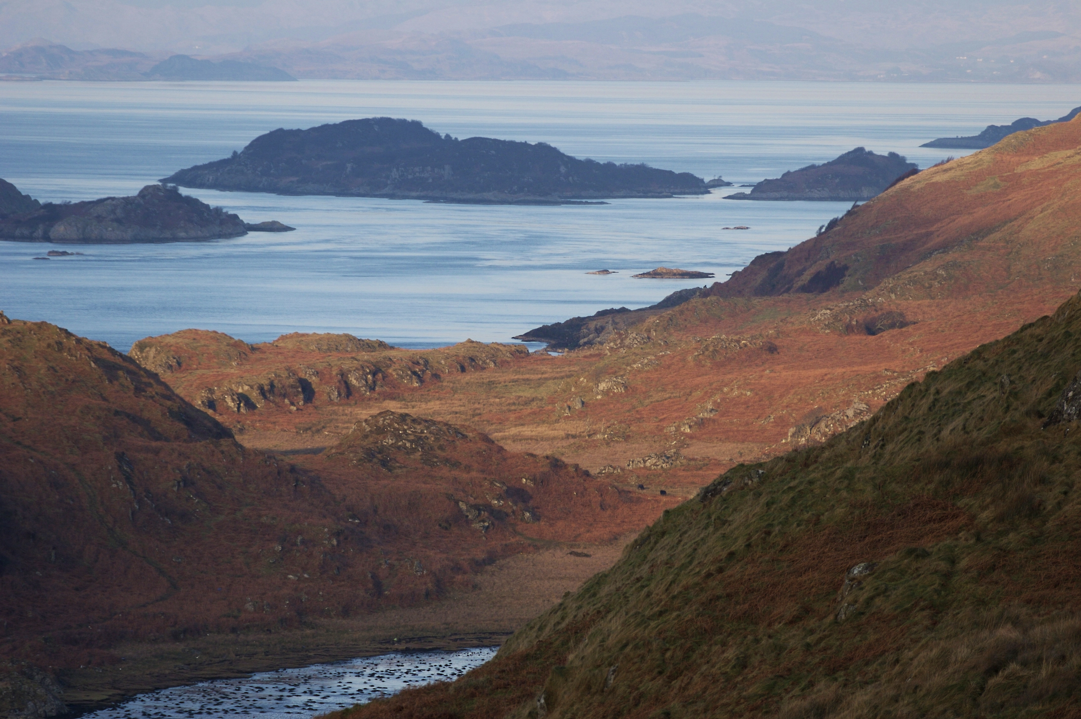 The role of UKIB in natural capital markets